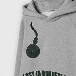 Man Hoodies Lost In Wonderland Hoodie - Grey / Green