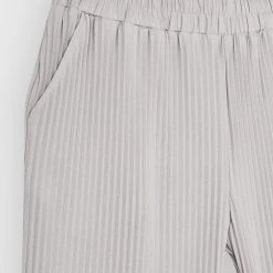 Man Casual Trousers Pleated Trousers - Ice Grey